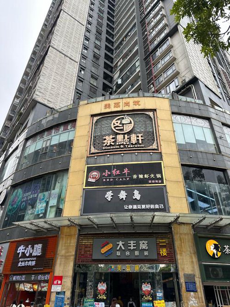 岭南古韵中的清新芬芳——探寻荔湾茶叶的魅力